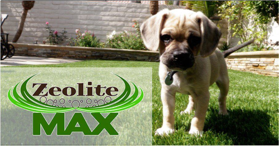 Pet Artificial Grass for Backyards, Kennel, Dog Run Orange County Pavers